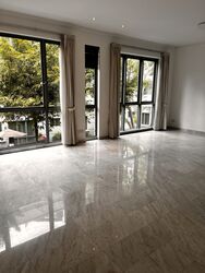 Parc Stevens (D10), Condominium #624077381